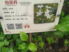 -广州神农草堂中医药博物馆