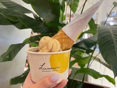 -LUNEURS月乐诗·法式冰淇淋(环贸店)
