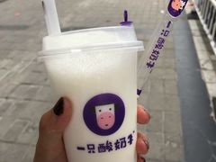 原味酸奶紫米露-一只酸奶牛(八一路店)