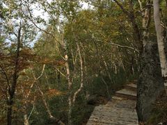 -白草畔自然风景区