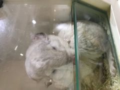 -7mall美食潮地标