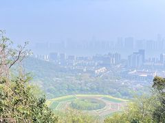 -八卦田遗址公园