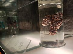 -青岛葡萄酒博物馆