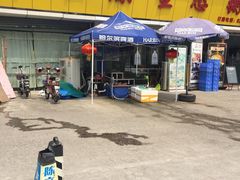 -蚝专家
