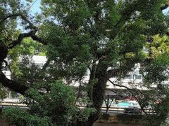 -广东胜利宾馆西关粤中餐厅