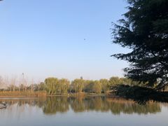 -石家庄市植物园