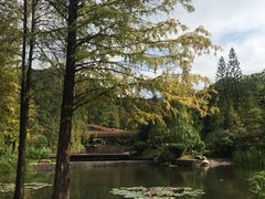 -云溪植物园