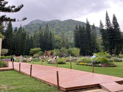 -深圳仙湖植物园