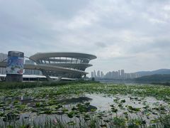 -梅溪湖城市岛