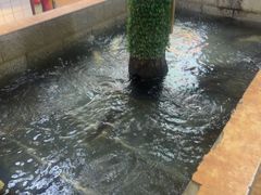 -高家小院铁锅炖大鹅(哈西高铁站店)