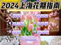 -戴尔DELL电脑官方店·售后维修服务站