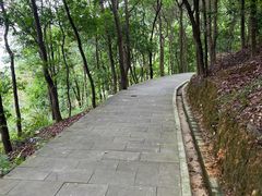 -羚羊峡古栈道森林公园