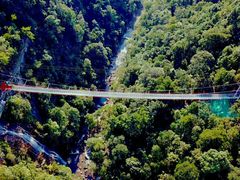 -九龙江国家森林公园