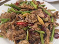 -洛阳白云山景区