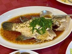苏眉鱼-双天海鲜楼 · 43年老字号