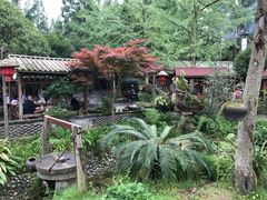 -青城甲(青城山店)