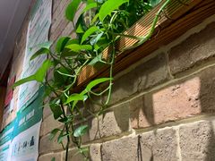-好這口重庆小面(总店)