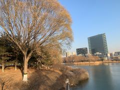 -大兴滨河森林公园