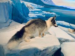 -陕西自然博物馆