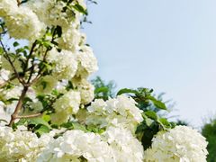 -大龙山(地铁站)