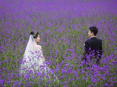 -经典婚纱摄影美学馆·私人定制
