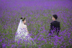 -经典婚纱摄影美学馆·私人定制