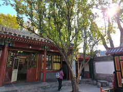 -聚首堂·特色小吃·肘子(什刹海德胜门店)