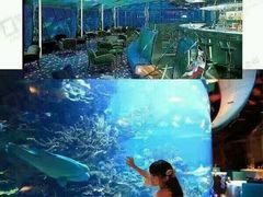 -迪拜帆船酒店海底餐厅