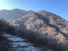 -阳台山自然风景区