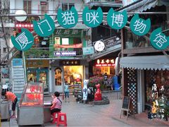 -猫咪博物馆(顶澳仔猫街店)