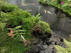 -罗红摄影艺术馆