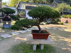 -水绘园
