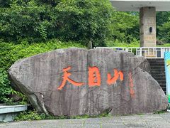 -天目山大树王景区