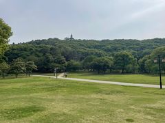 -苏州上方山国家森林公园