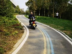 -桤木河湿地公园