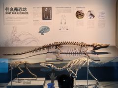 -自贡恐龙博物馆