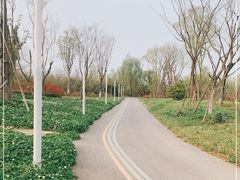 -白鹭湾湿地公园