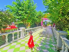 -百万葵园