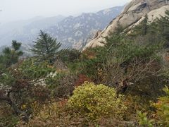 -崂山巨峰游览区
