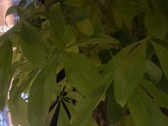 -泰之源足浴会所(玉环店)
