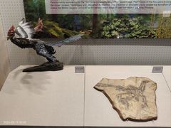 -辽宁古生物博物馆