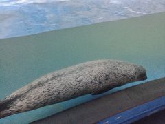 -常州海昌海洋探索馆