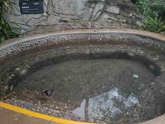 -海口观澜湖火山温泉谷