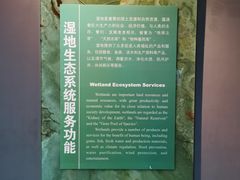 -中国湿地博物馆