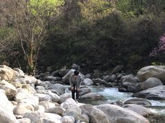 -沣峪口