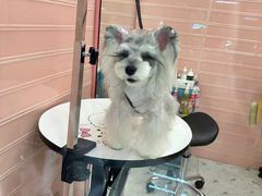 -FAELING PETS美天灵宠物(合生汇店)
