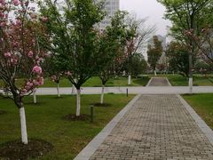 -映月湖中央公园