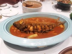 -阿五黄河大鲤鱼(纬三路店)