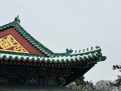 -颐和园