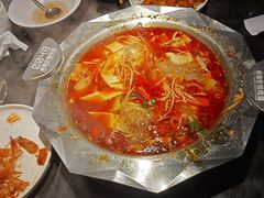 -0048鲜活香辣虾·火锅(铜陵路店)
